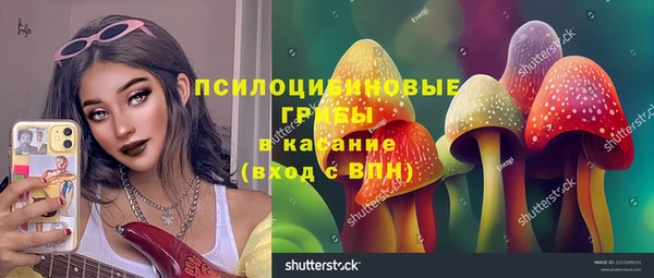 прущие крисы Баксан