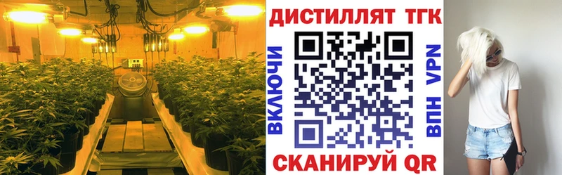 Дистиллят ТГК вейп  Городовиковск 